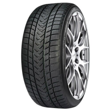 Шины Gripmax Suregrip Pro Winter 245/35 R21 96V