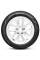 Pirelli Formula Формула 205/55/16 T 94 FORMULA ICE FRICTION XL