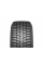 Зимние автомобильные шины Hankook RW10 Winter i*cept X 275/40 R20 106T XL