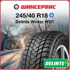 Зимняя нешипованная шина Delinte Winter WD1 245/40 R18 93T
