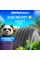 Летние шины DELINTE DS2 235/45R17 97W XL
