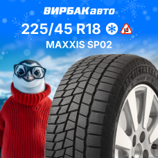 Зимние шины Maxxis SP02 225/45R18 95S