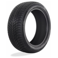 Roadstone WINGUARD ICE PLUS 225/50 R17 98T WINTER