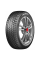 Автошина Delinte 245/50 R18 Winter WD1 100H