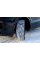 Шина Michelin Pilot Alpin 5 SUV 305/35 R21 109V (омологация)