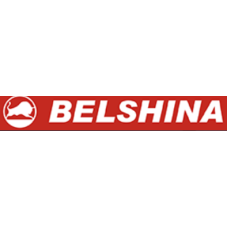 Белшина 0259002095 Белшина 205/55/16 T 91 Бел-317 Artmotion