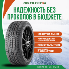 Шины зимние Автомобильная шина DoubleStar DW02 275/35 102T