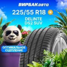 Летние шины DELINTE DS2 SUV 225/55R18 102W XL