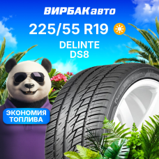Летние шины DELINTE DS8 225/55R19 99H