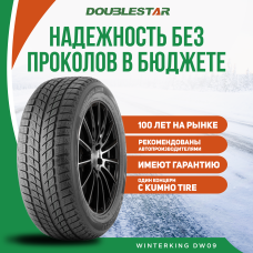 Шины зимние Автомобильная шина DoubleStar DW09 235/50 97H