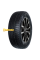 Шина Triangle PL01 215/45R17 91R
