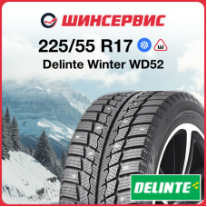 Зимняя шипованная шина Delinte Winter WD52 225/55 R17 97T