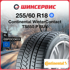 Зимняя шина Continental WinterContact TS850 P SUV 255/60 R18 112H XL