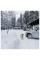 CONTINENTAL 355697 Континенталь 235/55/17 H 99 WinterContact TS 870 P