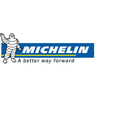 Michelin 315/30 r22 pilot sport 4 s 107y