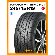 Зимние автомобильные шины Tourador Winter Pro TSU1 245/45 R19 102V XL