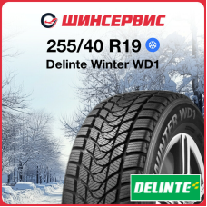 Зимняя нешипованная шина Delinte Winter WD1 255/40 R19 96H
