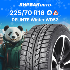 Зимние шины DELINTE Winter WD52 225/70R16 107T