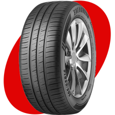 Шина летняя автомобильная Evergreen DYNACOMFORT EH228 205/55 R16 94W