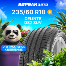 Летние шины DELINTE DS2 SUV 235/60R18 107V XL
