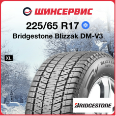 Зимняя нешипованная шина Bridgestone Blizzak DM-V3 225/65 R17 106S