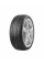 Шина Arivo Winmaster ProX ARW5 275/40 R20 106H