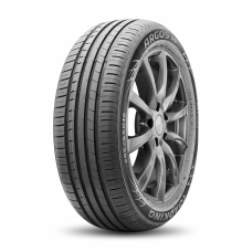 Roadking ARGOS HP 195 55 R15 85 V