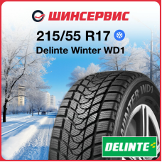 Зимняя нешипованная шина Delinte Winter WD1 215/55 R17 94T