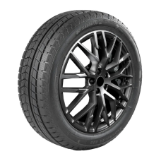 Шина SONIX SnowRover 868 225/55R17 101V
