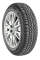 21550 R17 95H XL G-FORCE WINTER 2, BF GOODRICH 120722 (1 шт.)