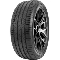 Delinte DS2 255/55 R18 109W