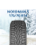 Автошина 175/70 R14 Ikon Tyres NORDMAN 5 84T шип