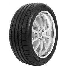 Шины 245/45 R18 96Y Run Flat Delinte DS2