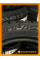 Зимние автомобильные шины Compasal Winter Stud 225/50 R17 98H XL