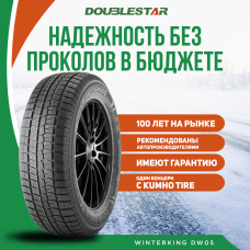 Шины зимние Автомобильная шина DoubleStar DW05 205/55 91T