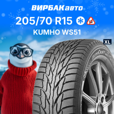 Зимние шины KUMHO WS51 205/70R15 100T XL