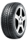 255/50 R19 Ovation W586 103H (зима) а/шина