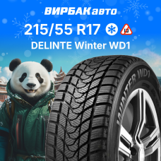 Зимние шины Delinte Winter WD1 215/55R17 94T