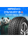 Зимние шины Delinte Winter WD1 215/55R17 94T