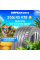 Летние шины MAXXIS VS-6 Victra Sport 255/45R19 104Y XL