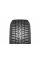 Зимние автомобильные шины Hankook RW10 Winter i*cept X 225/60 R17 99T