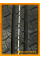 Летние автомобильные шины Windforce Catchfors H/T 245/70 R16 111H XL