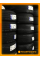 Летние автомобильные шины Windforce Catchfors UHP Pro 295/40 ZR21 111Y XL