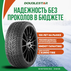 Шины зимние Автомобильная шина DoubleStar DW08 205/60 92T