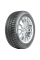Автошина Delinte 195/55 R16 Winter WD52 91T Шипы