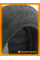 Зимние автомобильные шины Pirelli Winter Ice Zero 2 205/55 R16 94T XL