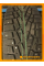 Зимние автомобильные шины Cordiant Snow Cross 265/65 R17 116T
