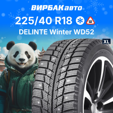 Зимние шины DELINTE Winter WD52 225/40R18 92H XL