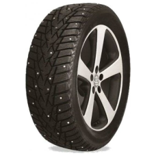 Double Star Winterking DW01 205/55 R16 91T (шип)
