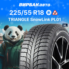 Зимние шины TRIANGLE SnowLink PL01 225/55R18 102R XL
